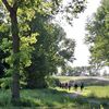 Een foto van wandelaars in het bos