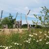 Natuurlijk spelen in Zonnekamp Olst-Wijhe