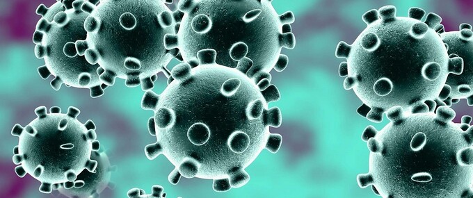 Alles over het Coronavirus Olst-Wijhe